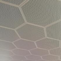 컨벤션 센터 벽면 장식물을 위한 알루미늄 6 각형 클립-인 천장