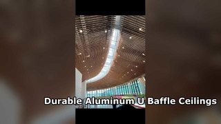 지하철 역을 위한 튼튼한 알루미늄 U 배플 천장